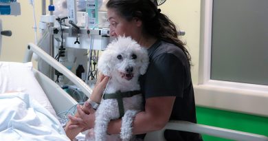 Protocolo de mascotas en UCI de Hospital Dr. Franco Ravera Zunino, permitió el reencuentro de paciente con “Copito”
