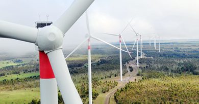 Formulan cargos contra Parque Eólico La Estrella por afectación a cóndores andinos