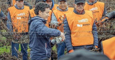 Los mejores podadores del país en una nueva edición del Concurso Nacional de Poda Profesional en Vid