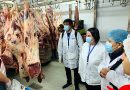 Seremi de Salud intensifica fiscalizaciones a carnes previo a Fiestas Patrias: Ya se han cursado 84 sumarios sanitarios