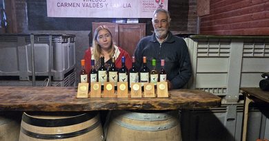 «El vino es un trabajo familiar que debe perdurar, es patrimonio y cultura para nuestra comuna» «El vino es un trabajo familiar que debe perdurar, es patrimonio y cultura para nuestra comuna»