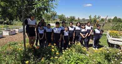 Educación Ambiental: Intercambio de semillas un pilar para la conservación de la biodiversidad